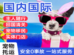 淮安航空货运国际宠物托运 【国